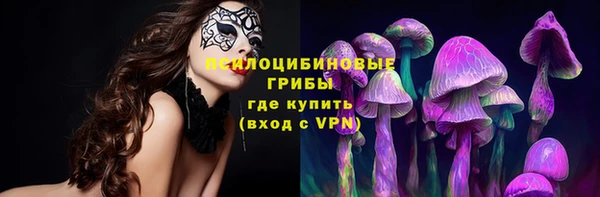 стаф Балахна