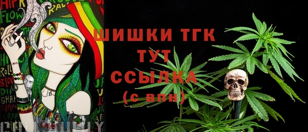 стаф Балахна